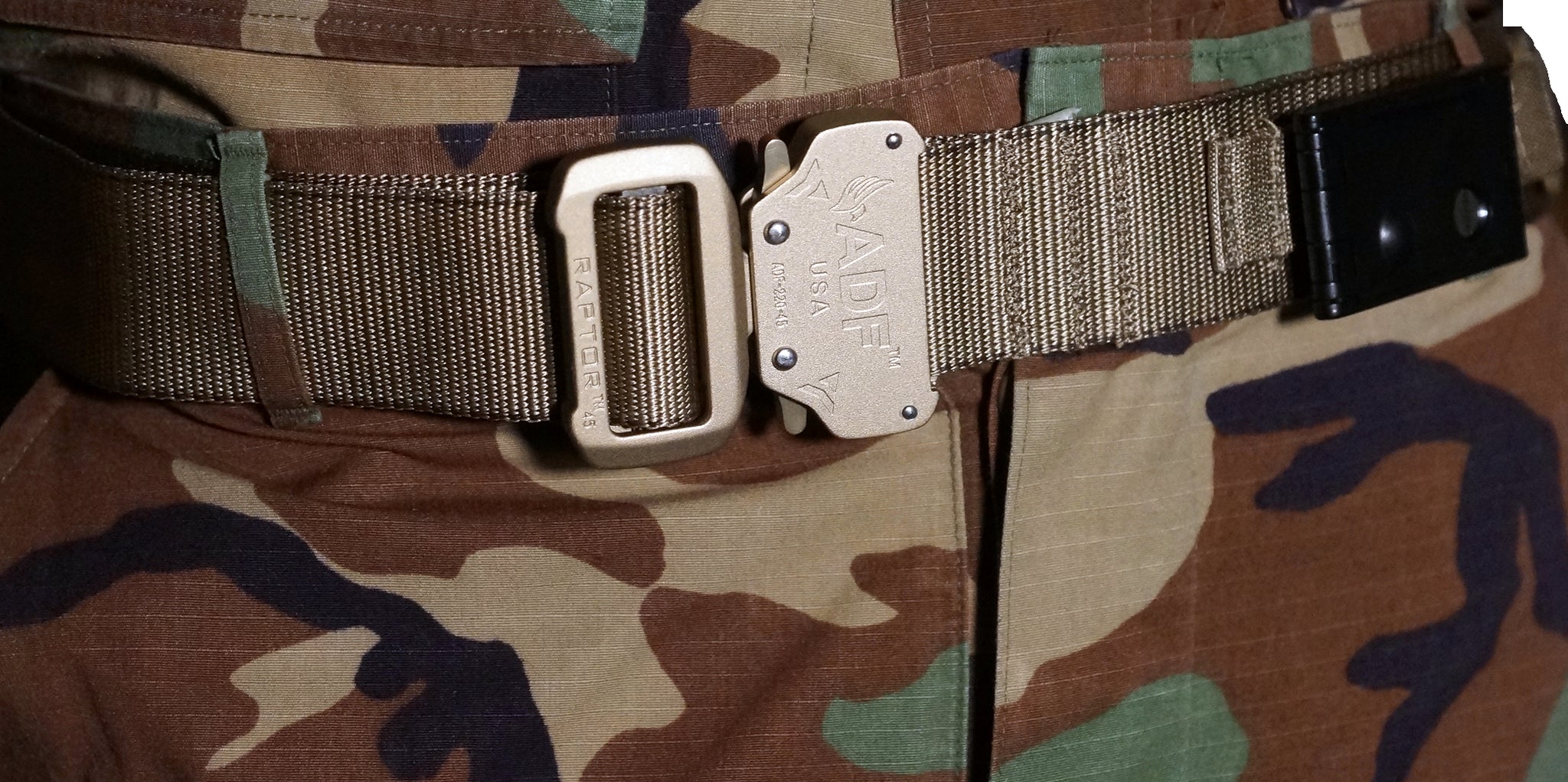Tan/Coyote DBF Belt: Zoomed-in view of belt showing the TLD securely fitted to belt.